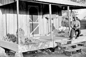 One of the sharecropper's houses with sweet potatoes and cotton on the porch, Knowlton Plantation, Perthshire, Mississippi Delta, Mississippi, 1939